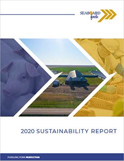 2020-Sustainability-Report-Cover-Graphic