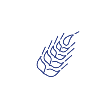 2021-sustainability-grain-icons