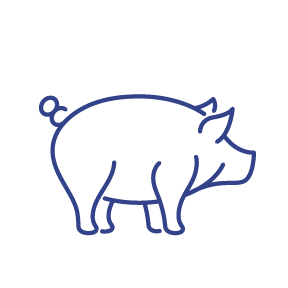 2021-sustainability_pig-icons